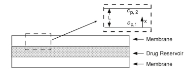 You are asked to design a delivery system that provides a constant rate of release of insulin. You want the system to release 1 mg of insulin per day. Will you use a matrix or a reservoir system? Make a list of the advantages and disadvantages of each design for this particular application.