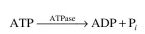An enzyme ATPase has a molecular weight of   daltons,   value of 10-4 M, and a K₂ value of K₂ = 104 molecules ATP/min molecule enzyme at 37∞C. The reaction catalyzed is the following:   which can also be represented as   where S is ATP. The enzyme at this temperature is unstable. The enzyme inactivation kinetics are first order:   where   is the initial enzyme concentration and   In an experiment with a par- tially pure enzyme preparation,   of total crude protein (containing enzyme) is added to a 1 ml reaction mixture containing 0.02 M ATP and incubated at 37∞C. After 12 hours the reac- tion ends   and the inorganic phosphate   concentration is found to be 0.002 M, which was initially zero. What fraction of the crude protein preparation was the enzyme? Hint: Since   the reaction rate can be represented by  