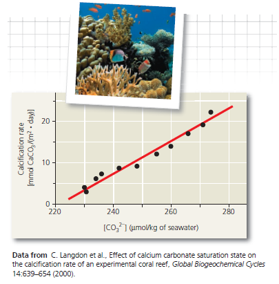 Interpreting a Scatter Plot with a Regression Line  How Does the Carbonate Ion Concentration of Seawater Affect the Calcification Rate of a Coral Reef Scientists predict that acidification of the ocean due to higher levels of atmospheric CO₂ will lower the concentration of dissolved carbonate ions, which living corals use to build calcium carbonate reef structures. In this exercise, you will analyze data from a controlled experiment that examined the effect of carbonate ion concentration ([    ]) on calcium carbonate deposition, a process called calcification. How the Experiment Was Done For several years, scientists conducted research on ocean acidification using a large coral reef aquarium at Biosphere 2 in Arizona. They measured the rate of calcification by the reef organisms and examined how the calcification rate changed with differing amounts of dissolved carbonate ions in the seawater. Data from the Experiment The black data points in the graph form a scatter plot. The red line, known as a linear regression line, is the best-fitting straight line for these points.    (a) Referring to the equations in Figure 3.12, determine which step of the process is measured in this experiment. (b) Are the results of this experiment consistent with the hypothesis that increased atmospheric [CO₂ ] will slow the growth of coral reefs Why or why not