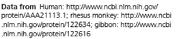 Analyzing Polypeptide Sequence Data Are Rhesus Monkeys or Gibbons More Closely Related to Humans In this exercise, you will look at amino acid sequence data for the polypeptide chain of hemoglobin, often called -globin. You will then interpret the data to hypothesize whether the monkey or the gibbon is more closely related to humans. How Such Experiments Are Done Researchers can isolate the polypeptide of interest from an organism and then determine the amino acid sequence. More frequently, the DNA of the relevant gene is sequenced, and the amino acid sequence of the polypeptide is deduced from the DNA sequence of its gene. Data from the Experiments In the data below, the letters give the sequence of the 146 amino acids in -globin from humans, rhesus monkeys, and gibbons. Because a complete sequence would not fit on one line here, the sequences are broken into three segments. The sequences for the three different species are aligned so that you can compare them easily. For example, you can see that for all three species, the first amino acid is V (valine) and the 146th amino acid is H (histidine). Based on these data alone, state a hypothesis for which of these two species is more closely related to humans. What is your reasoning