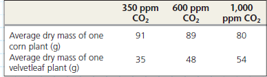 Does Atmospheric Carbon Dioxide Concentration Affect the Productivity of Agricultural Crops Atmospheric concentration of CO<sub>2</sub> has been rising globally, and scientists wondered whether this would affect C3 and C4 plants differently. In this exercise, you will make a scatter plot to examine the relationship between CO<sub>2</sub> concentration and growth of corn (maize), a C4 crop plant, and velvetleaf, a C3 weed found in cornfields. How the Experiment Was Done Researchers grew corn and velvetleaf plants under controlled conditions for 45 days, where all plants received the same amount of water and light. The plants were divided into three groups, each exposed to a different concentration of CO<sub>2</sub> in the air: 350, 600, or 1,000 ppm (parts per million). Data from the Experiment The table shows the dry mass (in grams) of corn and velvetleaf plants grown at the three concentrations of CO<sub>2</sub>. The dry mass values are averages of the leaves, stems, and roots of eight plants. Interpret the Data To explore the relationship between the two variables, it is useful to graph the data in a scatter plot, and then draw a regression line. (a) First, place labels for the dependent and independent variables on the appropriate axes. Explain your choices. (b) Now plot the data points for corn and velvetleaf using different symbols for each set of data, and add a key for the two symbols. (For additional information about graphs, see the Scientific Skills Review in Appendix F and in the Study Area in MasteringBiology.)