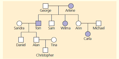 The pedigree below traces the inheritance of alkaptonuria, a biochemical disorder. Affected individuals, indicated here by the colored circles and squares, are unable to metabolize a substance called alkapton, which colors the urine and stains body tissues. Does alkaptonuria appear to be caused by a dominant allele or by a recessive allele Fill in the genotypes of the individuals whose genotypes can be deduced. What genotypes are possible for each of the other individuals