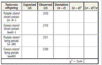 Are Two Genes Linked or Unlinked Genes that are in close proximity on the same chromosome will result in the linked alleles being inherited together more often than not. But how can you tell if certain alleles are inherited together due to linkage or whether they just happen to assort together In this exercise, you will use a simple statistical test, the chi-square ( 2) test, to analyze phenotypes of F1 testcross progeny in order to see whether two genes are linked or unlinked.  How These Experiments Are Done If genes are unlinked and assorting independently, the phenotypic ratio of offspring from an F1 testcross is expected to be 1:1:1:1 (see Figure 12.9). If the two genes are linked, however, the observed phenotypic ratio of the offspring will not match the expected ratio. Given random fluctuations in the data, how much must the observed numbers deviate from the expected numbers for us to conclude that the genes are not assorting independently but may instead be linked To answer this question, scientists use a statistical test called a chi-square ( 2) test. This test compares an observed data set to an expected data set predicted by a hypothesis (here, that the genes are unlinked) and measures the discrepancy between the two, thus determining the goodness of fit. If the discrepancy between the observed and expected data sets is so large that it is unlikely to have occurred by random fluctuation, we say there is statistically significant evidence against the hypothesis (or, more specifically, evidence for the genes being linked). If the discrepancy is small, then our observations are well explained by random variation alone. In this case, we say the observed data are consistent with our hypothesis, or that the discrepancy is statistically insignificant. Note, however, that consistency with our hypothesis is not the same as proof of our hypothesis. Also, the size of the experimental data set is important: With small data sets like this one, even if the genes are linked, discrepancies might be small by chance alone if the linkage is weak. (For simplicity, we overlook the effect of sample size here.)    Data from the Simulated Experiment In cosmos plants, purple stem ( A ) is dominant to green stem ( a ), and short petals ( B ) is dominant to long petals ( b ). In a simulated cross, AABB plants were crossed with aabb plants to generate F1 dihybrids ( AaBb ), which were then test crossed ( AaBb × aabb ). A total of 900 offspring plants were scored for stem color and flower petal length.    The goodness of fit is measured by 2. This statistic measures the amounts by which the observed values differ from their respective predictions to indicate how closely the two sets of values match. The formula for calculating this value is    where o = observed and e = expected. Calculate the 2 value for the data using the table below. Fill out the table, carrying out the operations indicated in the top row. Then add up the entries in the last column to find the 2 value  