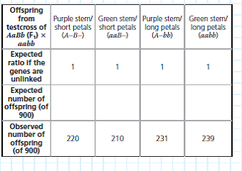 Are Two Genes Linked or Unlinked Genes that are in close proximity on the same chromosome will result in the linked alleles being inherited together more often than not. But how can you tell if certain alleles are inherited together due to linkage or whether they just happen to assort together In this exercise, you will use a simple statistical test, the chi-square ( 2) test, to analyze phenotypes of F1 testcross progeny in order to see whether two genes are linked or unlinked. How These Experiments Are Done If genes are unlinked and assorting independently, the phenotypic ratio of offspring from an F1 testcross is expected to be 1:1:1:1 (see Figure 12.9). If the two genes are linked, however, the observed phenotypic ratio of the offspring will not match the expected ratio. Given random fluctuations in the data, how much must the observed numbers deviate from the expected numbers for us to conclude that the genes are not assorting independently but may instead be linked To answer this question, scientists use a statistical test called a chi-square ( 2) test. This test compares an observed data set to an expected data set predicted by a hypothesis (here, that the genes are unlinked) and measures the discrepancy between the two, thus determining the goodness of fit. If the discrepancy between the observed and expected data sets is so large that it is unlikely to have occurred by random fluctuation, we say there is statistically significant evidence against the hypothesis (or, more specifically, evidence for the genes being linked). If the discrepancy is small, then our observations are well explained by random variation alone. In this case, we say the observed data are consistent with our hypothesis, or that the discrepancy is statistically insignificant. Note, however, that consistency with our hypothesis is not the same as proof of our hypothesis. Also, the size of the experimental data set is important: With small data sets like this one, even if the genes are linked, discrepancies might be small by chance alone if the linkage is weak. (For simplicity, we overlook the effect of sample size here.) Data from the Simulated Experiment In cosmos plants, purple stem ( A ) is dominant to green stem ( a ), and short petals ( B ) is dominant to long petals ( b ). In a simulated cross, AABB plants were crossed with aabb plants to generate F1 dihybrids ( AaBb ), which were then test crossed ( AaBb × aabb ). A total of 900 offspring plants were scored for stem color and flower petal length. The 2 value means nothing on its own-it is used to find the probability that, assuming the hypothesis is true, the observed data set could have resulted from random fluctuations. A low probability suggests the observed data are not consistent with the hypothesis, and thus the hypothesis should be rejected. A standard cut-off point used by biologists is a probability of 0.05 (5%). If the probability corresponding to the 2 value is 0.05 or less, the differences between observed and expected values are considered statistically significant and the hypothesis (that the genes are unlinked) should be rejected. If the probability is above 0.05, the results are not statistically significant; the observed data is consistent with the hypothesis. To find the probability, locate your 2 value in the 2 Distribution Table in Appendix F. The degrees of freedom (df) of your data set is the number of categories (here, 4 phenotypes)minus 1, so df = 3. (a) Determine which values on the df = 3 line of the table your calculated 2 value lies between. (b) The column headings for these values show the probability range for your 2 number. Based on whether there are nonsignificant ( p 0.05) or significant ( p 0.05) differences between the observed and expected values, are the data consistent with the hypothesis that the two genes are unlinked and assorting independently, or is there enough evidence to reject this hypothesis