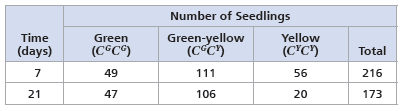 Using the Hardy-Weinberg Equation to Interpret Data and Make Predictions Is Evolution Occurring in a Soybean Population One way to test whether evolution is occurring in a population is to compare the observed genotype frequencies at a locus with those expected for a non-evolving population based on the Hardy-Weinberg equation. In this exercise, you'll test whether a soybean population is evolving at a locus with two alleles, C G and C Y , that affect chlorophyll production and hence leaf color. How the Experiment Was Done Students planted soybean seeds and then counted the number of seedlings of each genotype at day 7 and again at day 21. Seedlings of each genotype could be distinguished visually because the C G and C Y alleles show incomplete dominance: C G C G seedlings have green leaves, C G C Y seedlings have green-yellow leaves, and C Y C Y seedlings have yellow leaves. Data from the Experiment Next, use the hardy-Weinberg equation ( p 2 + 2 pq + q 2 = 1) to calculate the day 7 expected frequencies of genotypes C G C G , C G C Y , and C Y C Y for a population in hardy-Weinberg equilibrium.