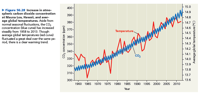 (a) Referring to Figure 56.28, estimate the average CO₂ concentration in 1975 and in 2012. (b) What was the rate of CO₂ concentration increase (ppm/yr) from 1975 tO₂012 (c) Assuming that the CO₂ concentration continues to rise as fast as it did from 1975 tO₂012, what will be the approximate CO₂ concentration in 2100 (d) Draw a graph of average CO₂ concentration from 1975 tO₂012 and then use a dashed line to extend the graph to the year 2100. (e) What ecological factors and human decisions will influence the actual rise in CO₂ concentration (f) How might additional scientific data help societies predict this value