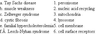 Match the disorder to the organelle, biochemical, or structure that is abnormal.