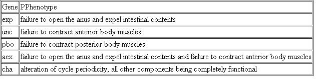 Using the behavioral phenotypes of a series of 18 mutants falling into five phenotypic classes, Thomas (1990) described the genetic program that controls the cyclic defecation motor program in Caenorhabditis elegans. The first step in each cycle is contraction of the posterior body muscles, followed by contraction of the anterior body muscles. Finally, anal muscles open and expel the intestinal contents. Below is a list of selected mutants (simplified) that cause defects in defecation. Present a simple schematic that illustrates genetic involvement in C. elegans defecation. Account for the action of the aex gene and speculate on the involvement and placement of the cha gene.