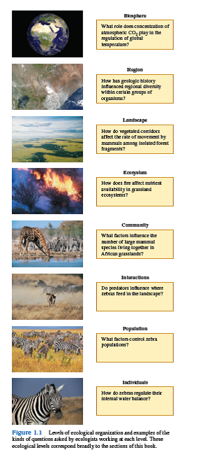 What are the pitfalls of subdividing nature in the way it is represented in figure 1.1 In what ways does figure 1.1 misrepresent nature    