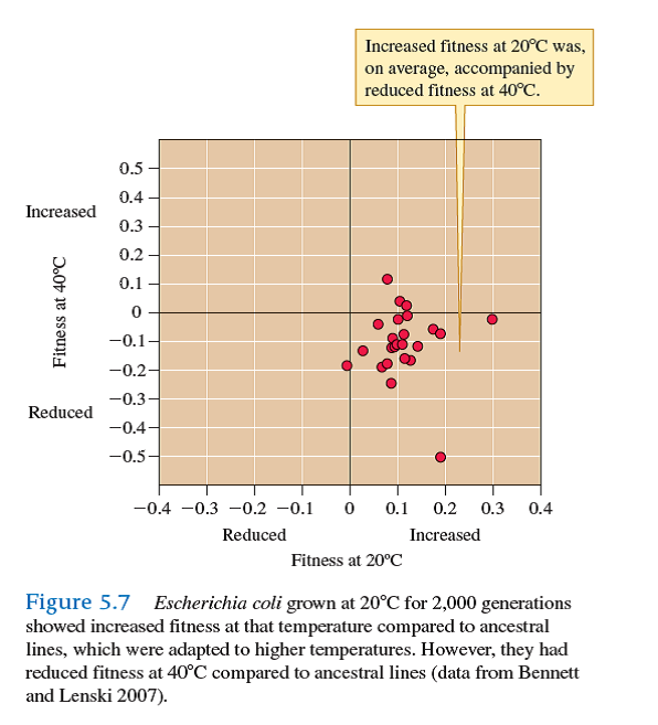 If growing lines of Escherichia coli at 20° C for 2,000 generations increased their fitness at 20°C without reducing their fitness at 40 8 C, how would the distribution of points in figure 5.7 change    
