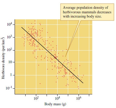 Use the empirical relationship between size and population density observed in the studies by Damuth (1981) (see fig. 9.19) and Peters and Wassenberg (1983) (see fig. 9.20) to answer the following: For a given body size, which generally has the higher population density, birds or mammals On average, which lives at lower population densities, terrestrial or aquatic invertebrates Does an herbivorous mammal twice the size of another have on average one-half the population density of the smaller species Less than half More than half Figure 9.19 Body size and population density of herbivorous mammals (data from Damuth 1981). Figure 9.20 Animal size and population density (data from Peters and Wassenberg 1983).