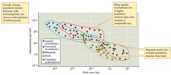 Use the empirical relationship between size and population density observed in the studies by Damuth (1981) (see fig. 9.19) and Peters and Wassenberg (1983) (see fig. 9.20) to answer the following: For a given body size, which generally has the higher population density, birds or mammals On average, which lives at lower population densities, terrestrial or aquatic invertebrates Does an herbivorous mammal twice the size of another have on average one-half the population density of the smaller species Less than half More than half Figure 9.19 Body size and population density of herbivorous mammals (data from Damuth 1981). Figure 9.20 Animal size and population density (data from Peters and Wassenberg 1983).