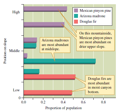 What does the position of pines along moisture gradients in both the Santa Catalina Mountains of Arizona (see fig. 9.17) and the Great Smoky Mountains of Tennessee (see fig. 9.18) suggest about pine water relations Figure 9.17 Abundances of three tree species on a moisture gradient in the Santa Catalina Mountains, Arizona (data from Whittaker and Niering 1965). Figure 9.18 Abundance of three tree species on a moisture gradient in the Great Smoky Mountains, Tennessee (data from Whittaker 1956).