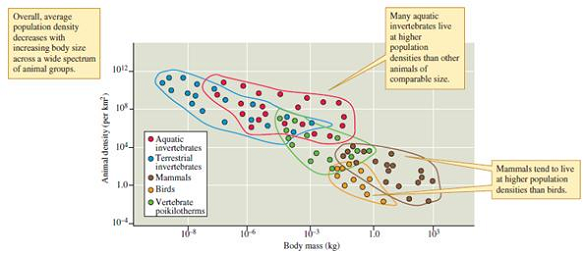 How might energy and nutrient relations explain the lower population densities of birds compared to comparable-sized mammals (see fig. 9.20) Figure 9.20 Animal size and population density (data from Peters and Wassenberg 1983).
