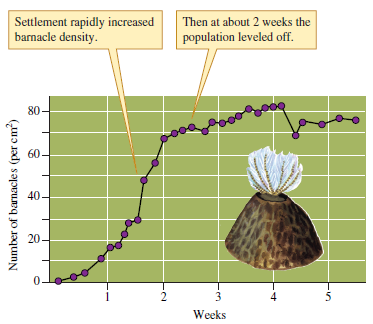 Interpret the pattern of population growth shown by figure 11.11 in terms of the information given in figure 11.14, and discuss the relationship between population size and r (realized per capita rate of increase). Figure 11.11 Settlement by the barnacle Balanus balanoides in the intertidal zone (data from Connell 1961a). Figure 11.14 The relationship between population size, N , and realized per capita rate of increase, r , in the logistic model of population growth.