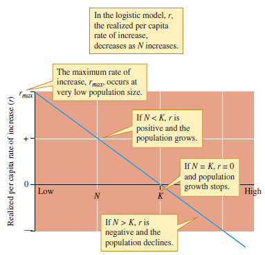 Interpret the pattern of population growth shown by figure 11.11 in terms of the information given in figure 11.14, and discuss the relationship between population size and r (realized per capita rate of increase). Figure 11.11 Settlement by the barnacle Balanus balanoides in the intertidal zone (data from Connell 1961a). Figure 11.14 The relationship between population size, N , and realized per capita rate of increase, r , in the logistic model of population growth.