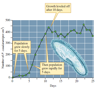How could you test the hypothesis that carrying capacity for the Paramecium population shown in figure 11.10 was set by the availability of their main food- yeast cells Figure 11.10 Sigmoidal growth by a population of Paramecium caudatum (data from Gause 1934).