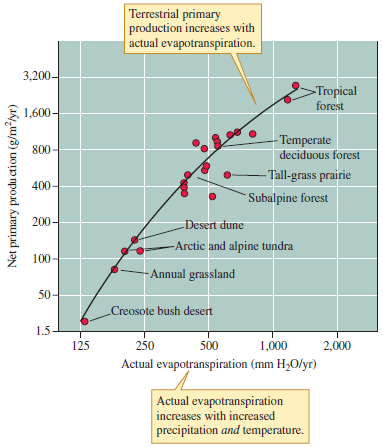 How are the desert dune ecosystem and the arctic and alpine tundra ecosystems indicated in figure 18.2 the same      Figure 18.2 Relationship between actual evapotranspiration and net aboveground primary production in a series of terrestrial ecosystems (data from Rosenzweig 1968, Kaspari, O'Donnell, and Kercher 2000).
