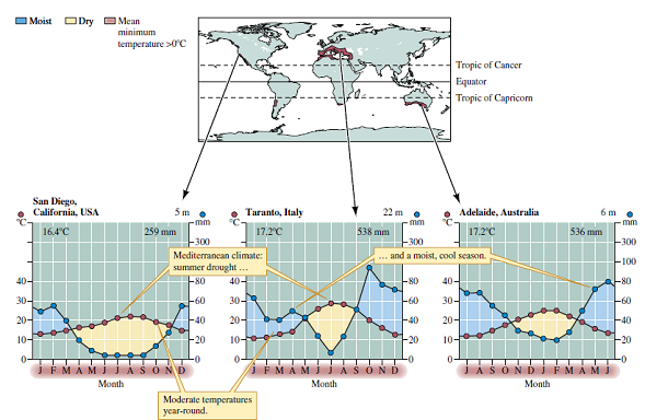 Biologists have observed much more similarity in species composition among boreal forests and among areas of tundra in Eurasia and North America than among tropical rain forests or among Mediterranean woodlands around the globe. Can you offer an explanation of this contrast based on the global distributions of these biomes shown in figures 2.10, 2.22, 2.31, and 2.34?    Figure 2.10 Tropical rain forest geography and climate.    Figure 2.22 Mediterranean woodland and shrubland geography and climate.    Figure 2.31 Boreal forest geography and climate.    Figure 2.34 Tundra geography and climate.
