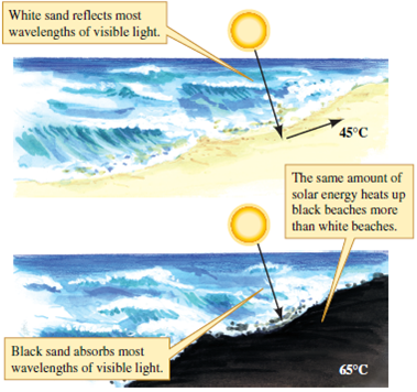 Some plants and grasshoppers in hot environments have reflective body surfaces, which make their radiative heat gain, H r , less than it would be otherwise. If you were to design a tiger beetle that could best cope with thermal conditions on black beaches (see fig. 5.5), what color would it be? The beetles on the black beaches of New Zealand are black, and the beetles on the white beaches are white. What do the matches between the color of these beetles and their beaches tell us about the relative roles of thermoregulation and predation pressure in determining beetle color? What does this example imply about the ability of natural selection to optimize the characteristics of organisms? Figure 5.5 By reflecting most visible light, white sands create a much cooler microclimate than black sands (data from Hadley, Savill, and Schultz 1992).