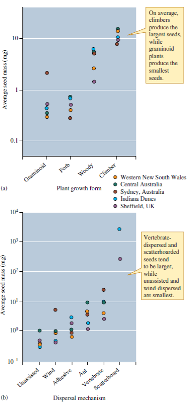 Using what you know about the trade-off between seed number and seed size (e.g., fig. 12.7) and patterns of variation among plants, predict the relative number of seeds produced by the various plant growth forms and dispersal strategies listed on figure 12.8? Figure 12.7 Relationship between seed mass and seed number (data from Stevens 1932). Figure 12.8 Plant growth form and dispersal mechanism and seed mass (data from Westoby, Leishman, and Lord 1996).