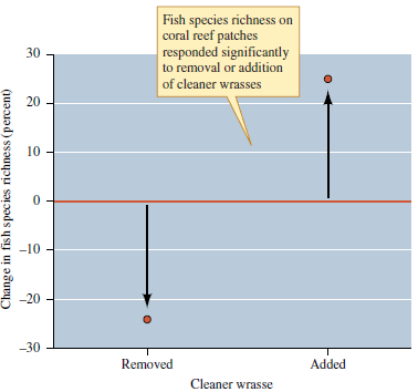Bshary studied changes in fish species richness in response to both natural and experimental removals and additions of the cleaner fish Labroides dimidiatus (see fig. 17.18). Why did he not just focus on the response of fish species richness to natural additions and removals of the cleaner fish? Figure 17.18 Results of experimental and natural removals or additions of cleaner wrasses. Labroides dimidiatus, to reef patches in the Red Sea (data from Bshary 2003).