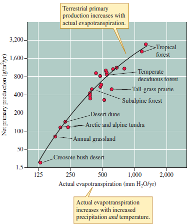Field experiments demonstrate that variation in soil fertility influences terrestrial primary production. However, we cannot say that nutrients exert primary control. That role is still attributed to temperature and moisture. Why do ecologists still attribute the main control of terrestrial primary production to temperature and moisture? Consider the difference in primary production between arctic tundra and tropical forest (see fig. 18.2) and the extent to which nutrient additions (Shaver and Chapin 1986) changed primary production in tundra.    Figure 18.2 Relationship between actual evapotranspiration and net aboveground primary production in a series of terrestrial ecosystems (data from Rosenzweig 1968, Kaspari, O'Donnell, and Kercher 2000).