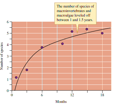 Would you expect the number of species to remain indefinitely at the level shown in figure 20.7? Space on large stable boulders in Sousa's study site is dominated by the algal G.canaliculata and support 2.3 to 3.5 species, not the 5 shown in figure 20.7. Explain. (Hint: How long did Sousa follow his study boulders?) Figure 20.7 Succession in number of macroinvertebrate and macroalgae species on intertidal boulders (data from Sousa 1979a).