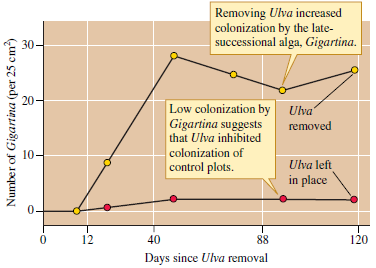 Suppose Gigartina had colonized the plots where Sousa had removed Ulva and where he had left Ulva in place at the same rates (see fig. 20.21). This result would be consistent with which successional model? Figure 20.21 Evidence for inhibition of later successional species (data from Sousa 1979a).