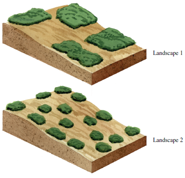 The green areas represent forest fragments surrounded by agriculture. Landscapes 1 and 2 contain the same total forest area. Will landscape 1 or 2 contain more forest interior species? Explain.