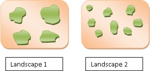 The species living in the interiors of a habitat are called the interior species. The abundance of an interior species depends on the area of the habitat available for these species. The fragmentation of the habitat has been shown by ecologists to decrease the area of an individual habitat patch. Landscapes 1 and 2 have been illustrated below: Landscape 1 and landscape 2 possess the same total forest area. However, the landscape 2 is more fragmented. Hence, landscape 2 has more edge habitat than the interior habitat. Landscape 1 is less fragmented. Hence it has more interior habitat than the edge habitat. Therefore, out of landscape 1 and 2, landscape 1 will contain more forest interior species.