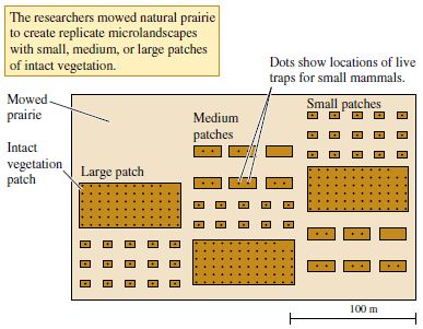 Analyses such as Milne's comparison (1993) of bald eagles and barnacles demonstrate that organisms of different sizes interact with the environment at very different spatial scales. With this in mind consider the experiments of Diffendorfer and colleagues (1995) on the influence of habitat fragmentation on movement patterns of small mammals. Think about the size of their experimental study area (see fig. 21.10). How might a manipulation of this size have affected the movements of prairie birds? How would their manipulation have affected the movements of ground-dwelling beetles? Figure 21.10 Experimental landscape for the study of small mammal movements (data from Diffendorfer, Gaines, and Holt 1995).