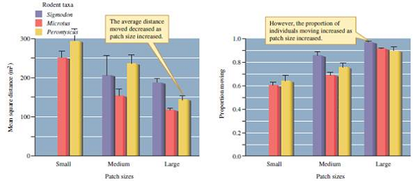 What do the patterns shown in figure 21.11 suggest about the relative impact of fragmentation of prairie habitat on populations of Sigmodon, Microtus, and Peromyscus ? Figure 21.11 Influence of patch size on small mammal movements within experimental landscapes (means, 1 standard error) (data from Diffendorfer, Gaines, and Holt 1995).