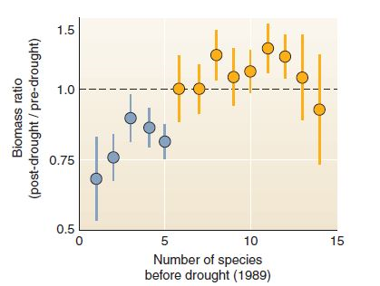 Uncertainty is a key idea in science. We can rarely have absolute proof in experimental results, because our conclusions rest on observations, but we only have a small sample of all possible observations. Because uncertainty is always present, it's useful to describe how much uncertainty you have, relative to what you know. It might seem ironic, but in science, knowing about uncertainty increases our confidence in our conclusions. The graph in this chapter's opening case study is reproduced at right. This graph shows change in biomass within small, square plots (see plots in figure) after a severe drought. Because more than 200 replicate (repeated test) plots were used, this study was able to give an estimate of uncertainty. This uncertainty is shown with error bars. In this graph, dots show means for groups of test plots; the error bars show the range in which that mean could have fallen, if there had been a slightly different set of test plots. Often we don't graph uncertainty measures because we want to communicate the overall trend in simplified form. (How often have you seen error bars in a graph in the newspaper ) But error estimates are important if you really want to give readers confidence in your story. Let's examine the error bars in this graph. To begin, as always, make sure you understand what the axes show. This graph is a relatively complex one, so be patient.     What variable is shown on the X-axis What are the lowest and highest values on the axis  FIGURE  Experimental grassland plots at Cedar Creek.   