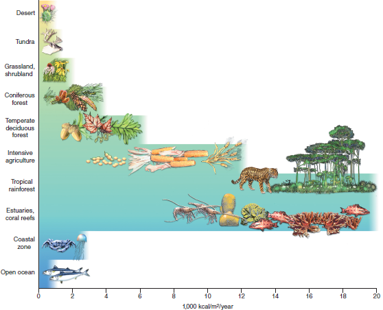 Which world ecosystems are most productive in terms of biomass (fig.) Which are least productive What units are used in this figure to quantify biomass accumulation FIGURE Relative biomass accumulation of major world ecosystems. Only plants and some bacteria capture solar energy. Animals consume biomass to build their own bodies.