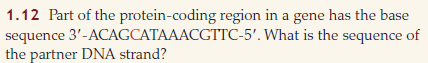 If the DNA sequence in Problem 1.12 is the template strand that is transcribed in the synthesis of messenger RNA, would it be transcribed from left to right or from right to left? What base sequence would this region of the RNA contain? Reference: