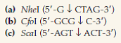 Apart from nucleotide sequence, what is different about the ends of restriction fragments produced by the following restriction enzymes? (The downward arrow represents the site of cleavage in each strand.)