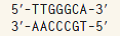 A cytosine deamination occurs in the top strand of the following sequence: (a) If there is no repair before the next round of DNA replication, what is the sequence of the affected strand and its newly replicated complementary strand? (b) If the damaged base is repaired by uracil DNA glycosylase before the next round of DNA replication, what is the sequence of the affected strand and its newly replicated complementary strand? (c) If the uracil DNA glycosylase repair mechanism is in activated and the mismatch repair process repairs the damaged base before the next round of DNA replication, what is the sequence of the affected strand and its newly replicated complementary strand?
