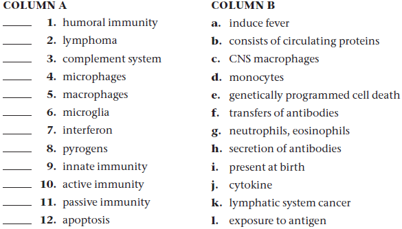 Match each item in column A with the most closely related item in column B. Place letters for answers in the spaces provided.  <div style=padding-top: 35px> 