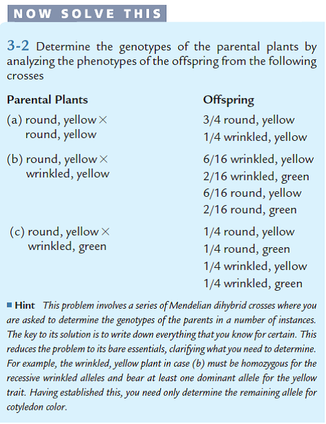When working out genetics problems in this and succeeding chapters, always assume that members of the generation are homozygous, unless the information given, or the data, indicates otherwise. Refer to the Now Solve This Problem 3-2 on p. 39. Are any of the crosses in this problem testcrosses? If so, which one(s) Reference: