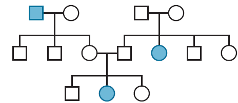 When working out genetics problems in this and succeeding chapters, always assume that members of the generation are homozygous, unless the information given, or the data, indicates otherwise. Which of Mendel's postulates are demonstrated by the pedigree in Problem 21? List and define these postulates. Reference: For the following pedigree, predict the mode of inheritance and the resulting genotypes of each individual. Assume that the alleles A and a control the expression of the trait.