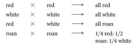 In Shorthorn cattle, coat color may be red, white, or roan. Roan is an intermediate phenotype expressed as a mixture of red and white hairs. The following data are obtained from various crosses: (a)How is coat color inherited? What are the genotypes of parents and offspring for each cross? (b) Does the roan phenotype illustrate a case of incomplete dominance or a case of codominance? Explain?