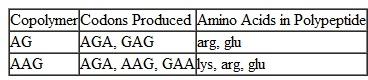 In a coding experiment using repeating copolymers (as shown in Table), the following data were obtained. AGG is known to code for arginine. Taking into account the wobble hypothesis, assign each of the four remaining different triplet codes to its correct amino acid. TABLE Amino Acids Incorporated Using Repeated Synthetic Copolymers of RNA