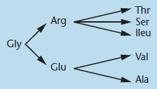 In studies of the amino acid sequence of wild-type and mutant forms of tryptophan synthetase in E. coli, the following changes have been observed: Determine a set of triplet codes in which only a single-nucleotide change produces each amino acid change.