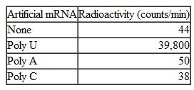 Refer to Table. Can you hypothesize why a mixture of (Poly U) + (Poly A) would not stimulate incorporation of 14 C-phenylalanine into protein? Table Incorporation of 14C-phenylalanine into Protein Source: After Nirenberg and Matthaei (1961).