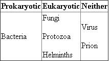 To properly answer this question, we discuss microbiology largely through the different organisms we study as microbiologists and organize the major groups based on the types of cells they possess (prokaryotic or eukaryotic). Using the table below, we will construct a concept map around this idea. We can also consider microbiology by breaking it down into particular fields of microbe study, such as bacteriology (bacteria), virology (viruses), mycology (fungi), protozoology (protozoa), phycology (algae), and parasitology (infectious eukaryotes). All of these groups are included because they are too small to be seen without imaging technology such as light microscope or an electron microscope. The concept map will look as follows: