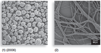 Figures 1 and 2 are both highly magnified views of biological substances. Using figure 2.17 as your basis for comparison, speculate which molecules are shown and give the reasons for them having the microscopic appearance we see here.