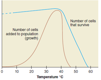 Explain this graph that charts the reactions of a mesophilic bacterium to temperature. Blue shows the survival curve and brown the growth curve.