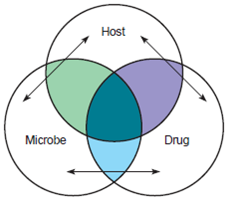 Compose a one- or two-paragraph answer that includes the factual information needed to completely address the question. Check Your Progress questions can also be used for writing-challenge exercises. Using the diagram as a guide, briefly explain how the three factors in drug therapy interact.