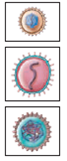 Each numbered figure 1-4 represents a cell that provides an immune defense. Each lettered figure A-D shows a pathogenic microbe. Name the type of defense and match it with its primary target microbe and effects. (1) Figure 14.19 (2) Page 435 (3) Page 435 (4) Page 435 A Figure 18.8 B Figure 23.21 inset C Table 25.1 D Opener, Chapter 14